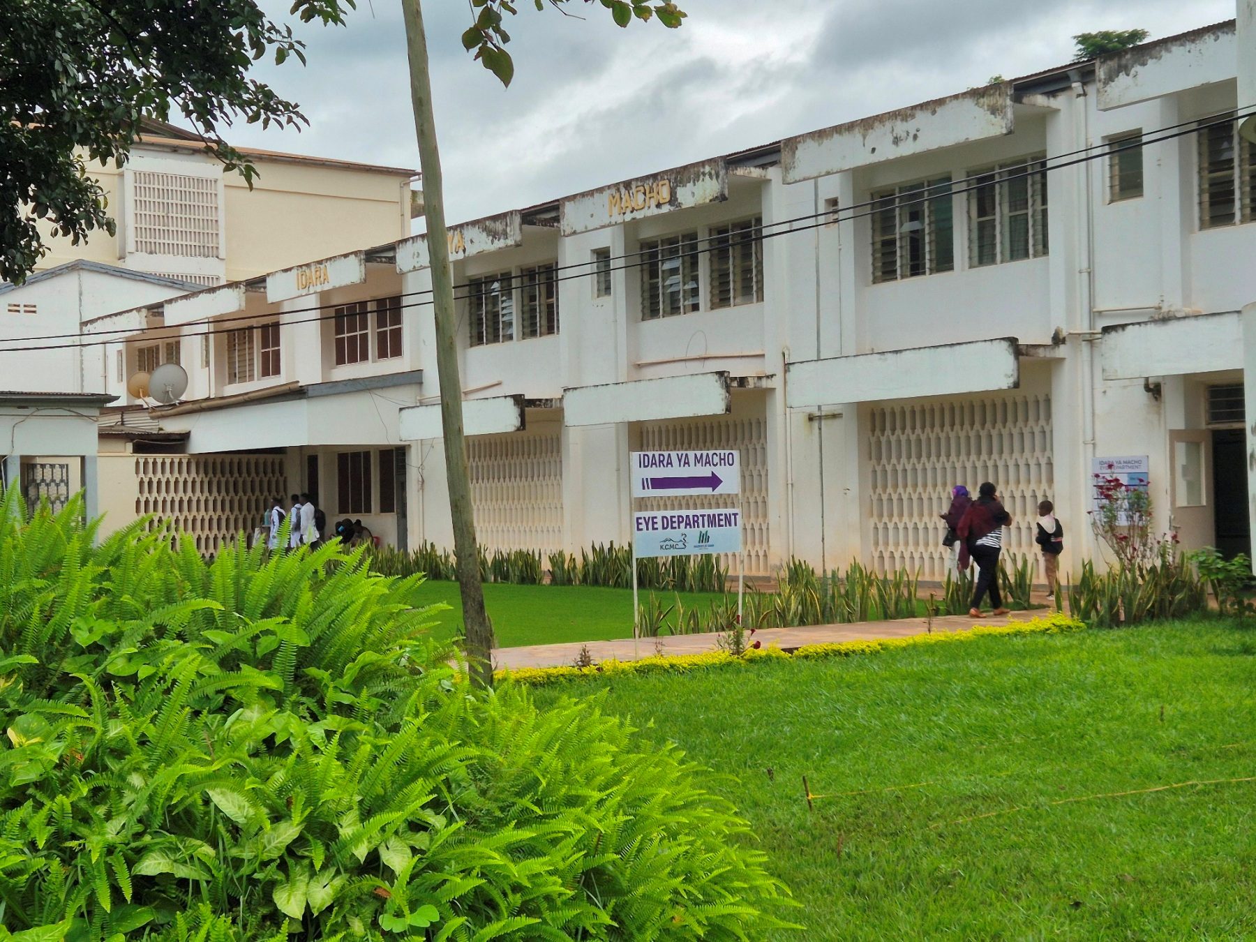 KCMC - 08.jpg